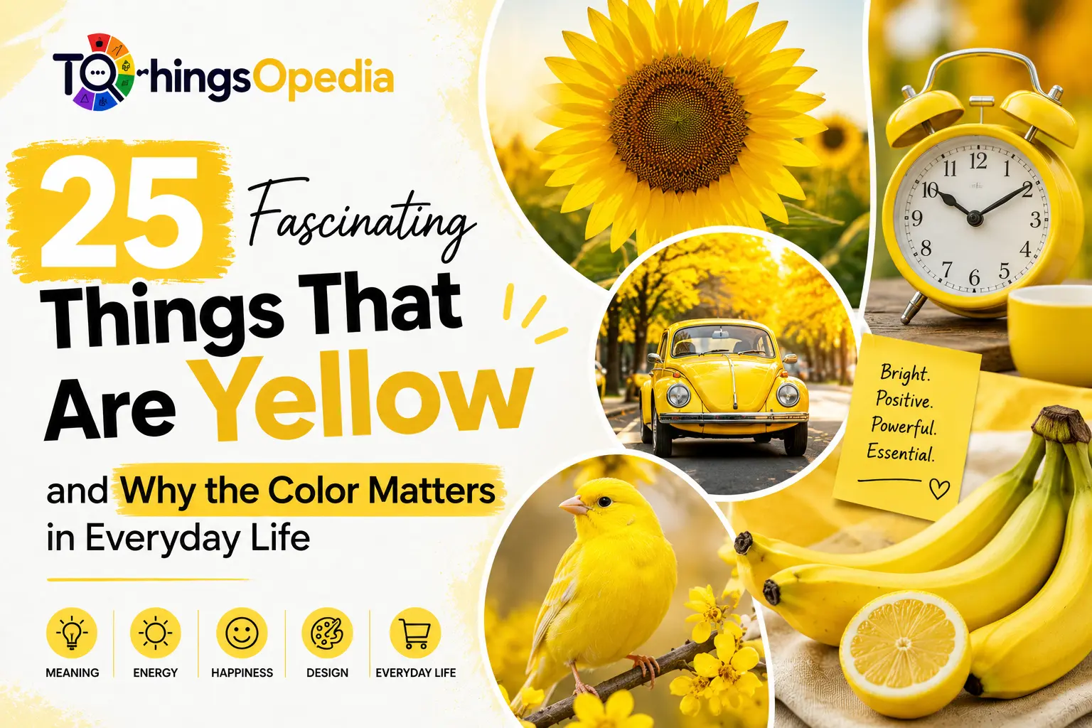 25 Fascinating Things That Are Yellow and Why the Color Matters in Everyday Life